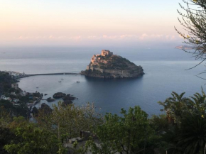 Panoramic villa in the nature of Ischia